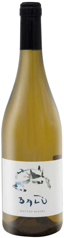Cantina Matteo Rigoni | Vini dei Colli Berici
