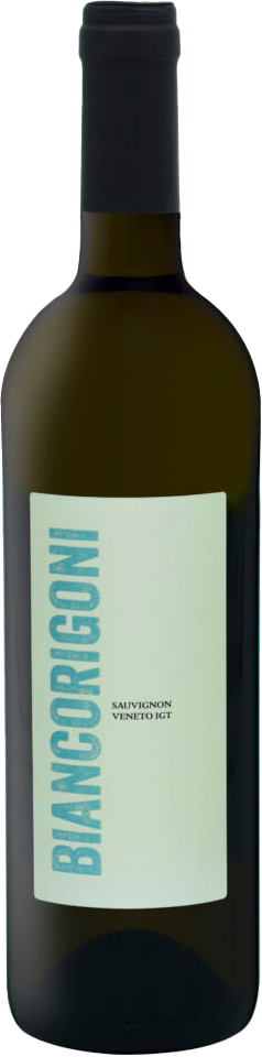 Cantina Matteo Rigoni | Vini dei Colli Berici