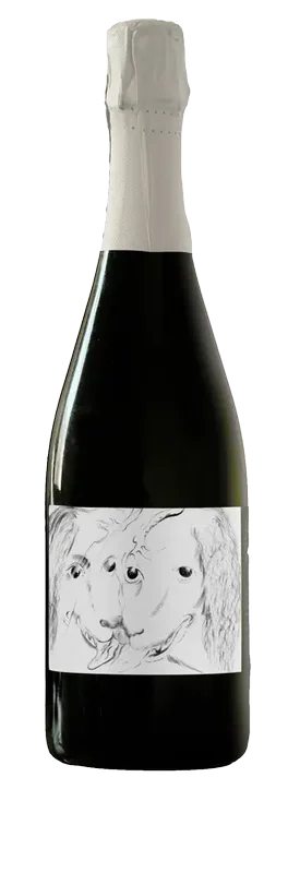 Cantina Matteo Rigoni | Vini dei Colli Berici